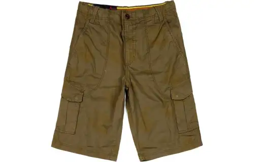 Jordan Casual Shorts Men's Brown