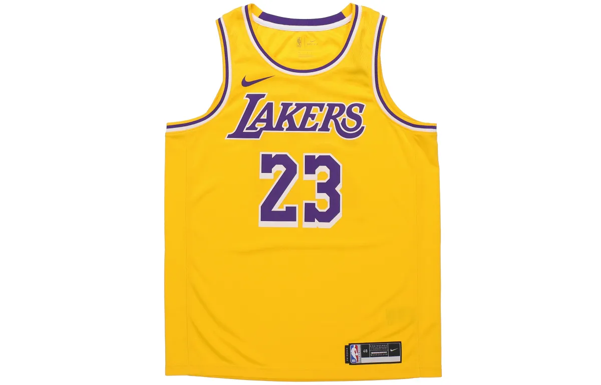 Nike LeBron James Icon Swingman Jersey