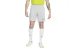 Nike Casual Shorts Men's Silver Moderate
