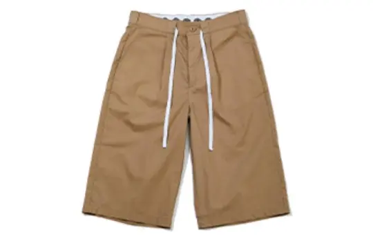 Dickies Casual Shorts Men's Sand Moderate
