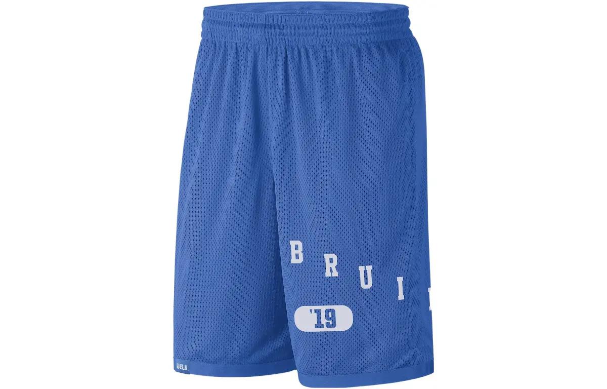 Nike Casual Shorts Men's Blue Thin