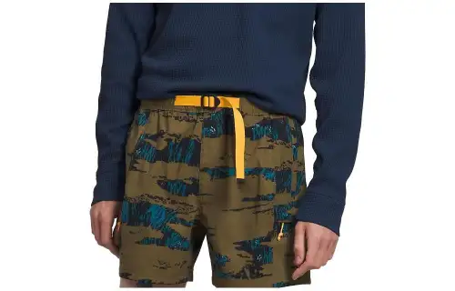 THE NORTH FACE Casual Shorts Men's Multicolor Moderate