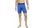 Nike Casual Shorts Men's Blue Moderate