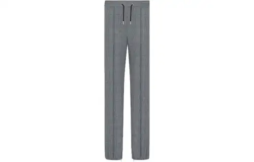 DIOR Casual Pants Men's Gray Moderate Straight Fit Pants