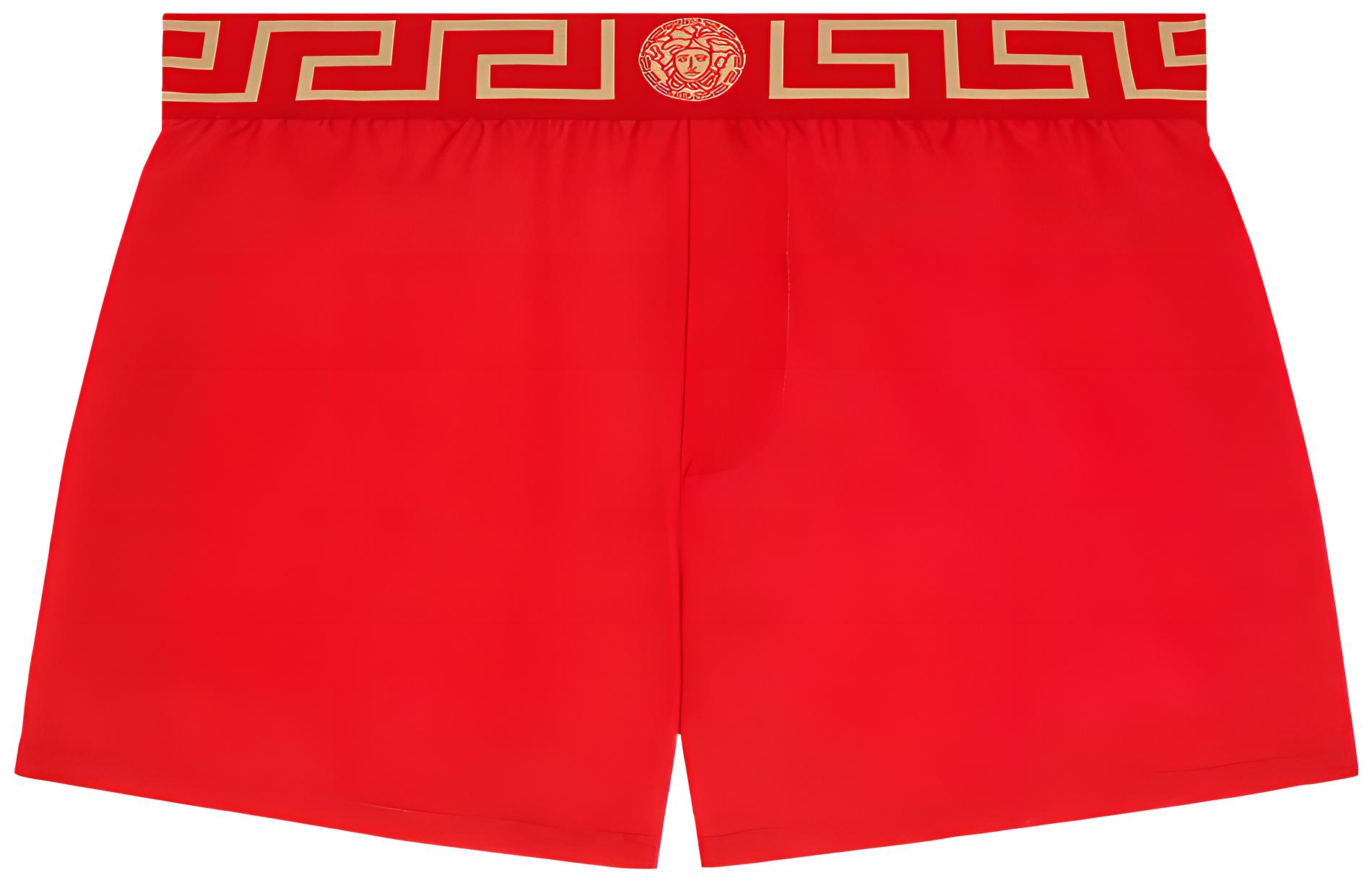 【Previous Season】Greca Border swim shorts