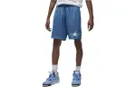 Jordan Casual Shorts Men's Royal Blue Moderate