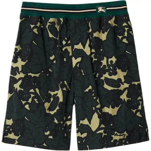 Burberry Casual Shorts Men's Multicolor