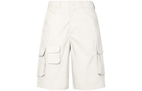 Dickies Casual Shorts Men's Light Gray Moderate