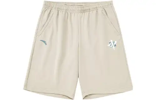 ANTA Casual Shorts Men's Khaki Moderate