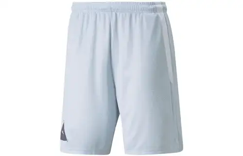 PUMA Casual Shorts Men's Gray Moderate