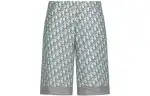 DIOR Casual Shorts Men's Cyan Moderate