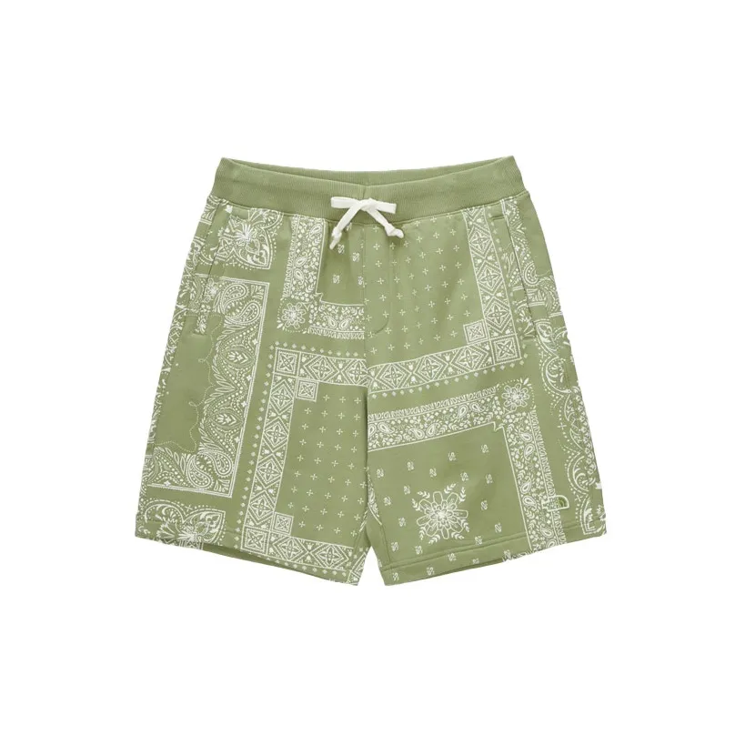 THE NORTH FACE Casual Shorts Men's Green