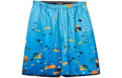 LOEWE Casual Shorts Men's Blue Moderate
