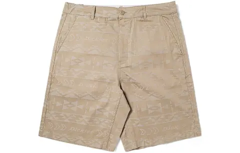 Dickies Casual Shorts Men's Moderate