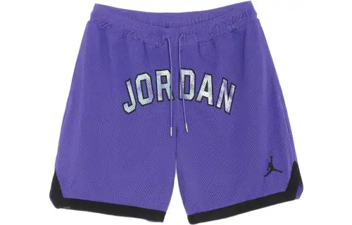 Jordan Sport Dna Mesh Shorts