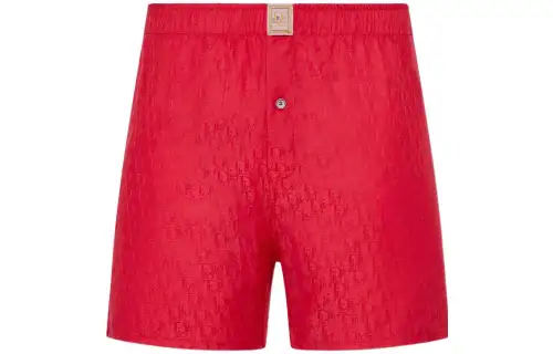DIOR X Erl Boxer Shorts
