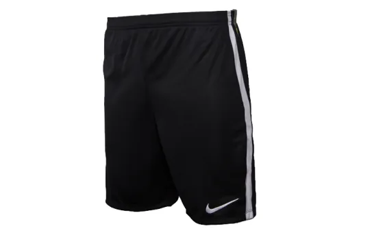 Nike Sports Shorts Men's Thin