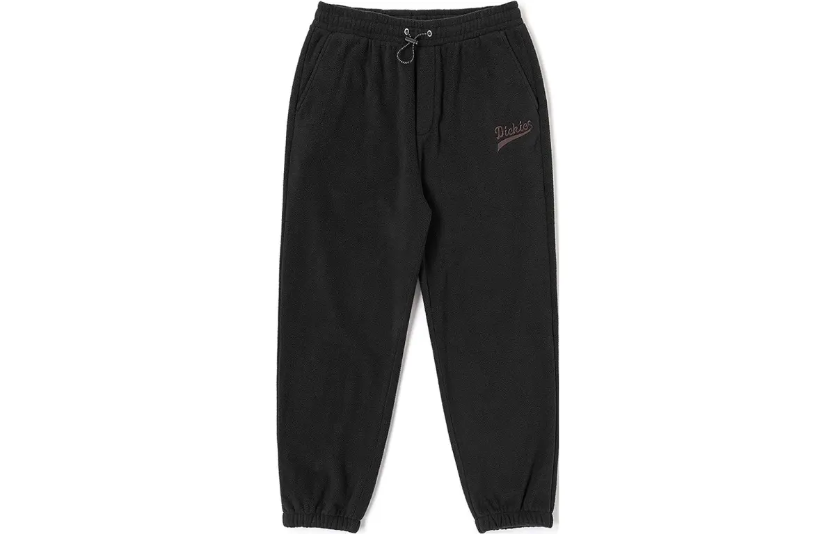 Dickies Casual Pants Unisex Asphalt Black Moderate Sweatpants
