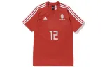 Bape X Adidas World Cup 2018 Winning Collection Football Top
