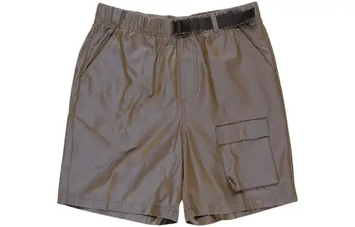 Stussy Iridescent Short