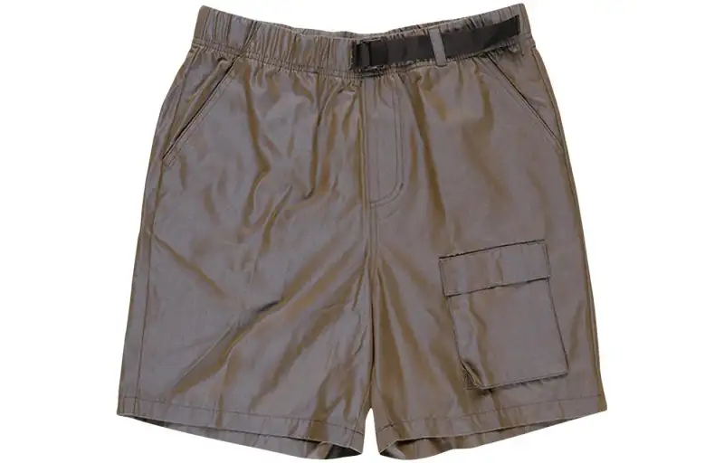 Stussy Iridescent Short