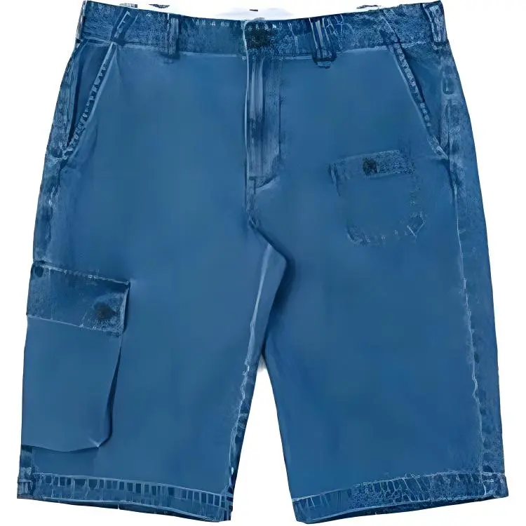 Dickies Casual Shorts Men's Indigo Moderate