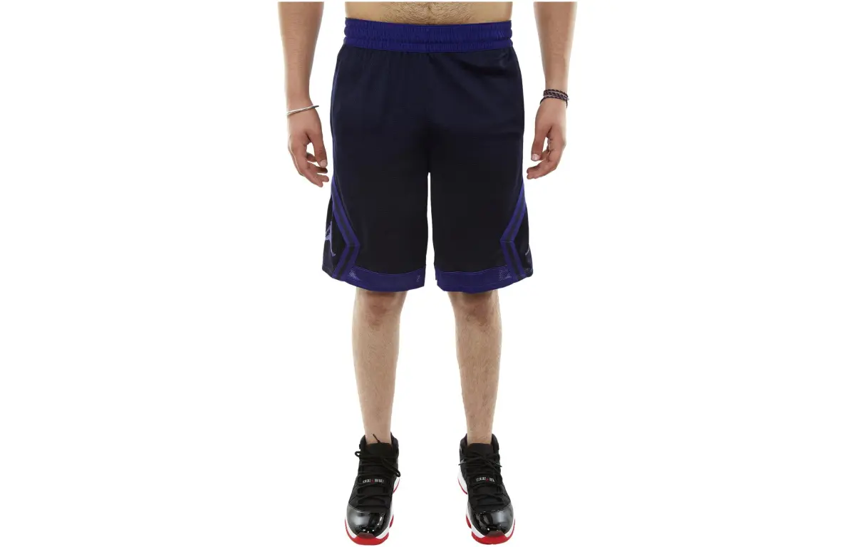 Jordan Casual Shorts Men's Multicolor Moderate