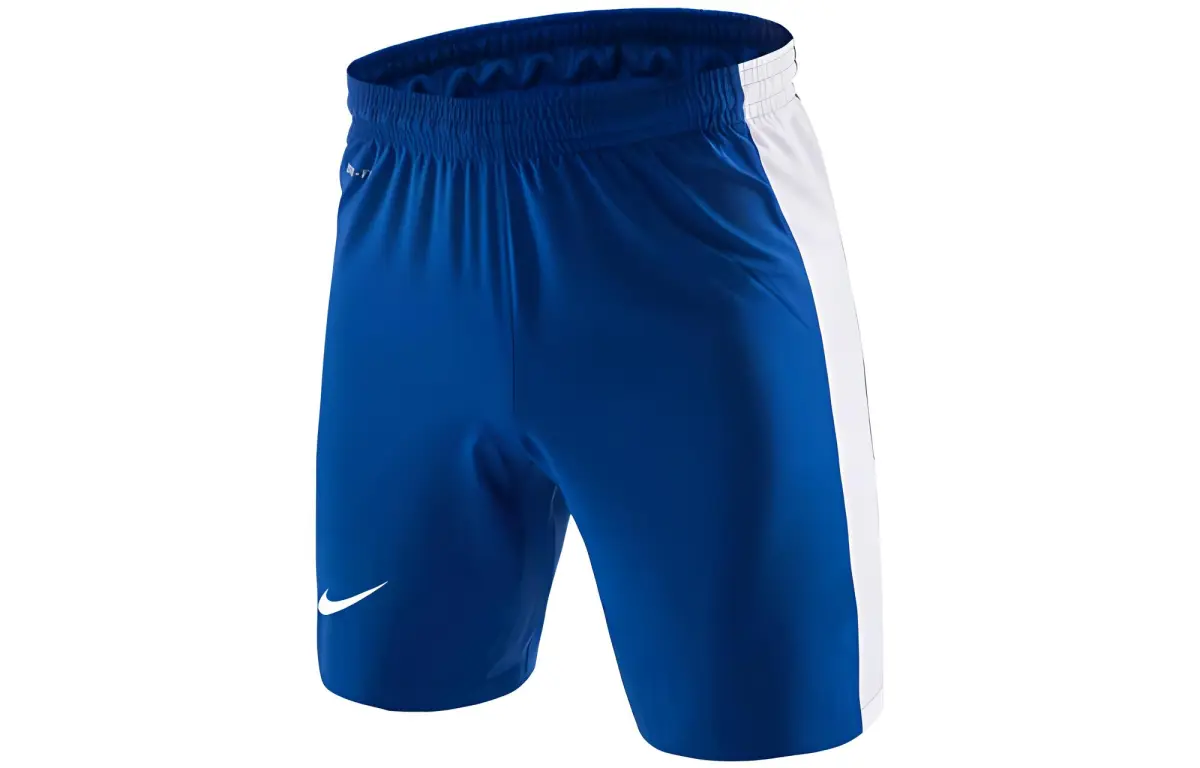 Nike Casual Shorts Men's Blue Moderate