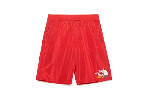 GUCCI x THE NORTH FACE Casual Shorts Men's