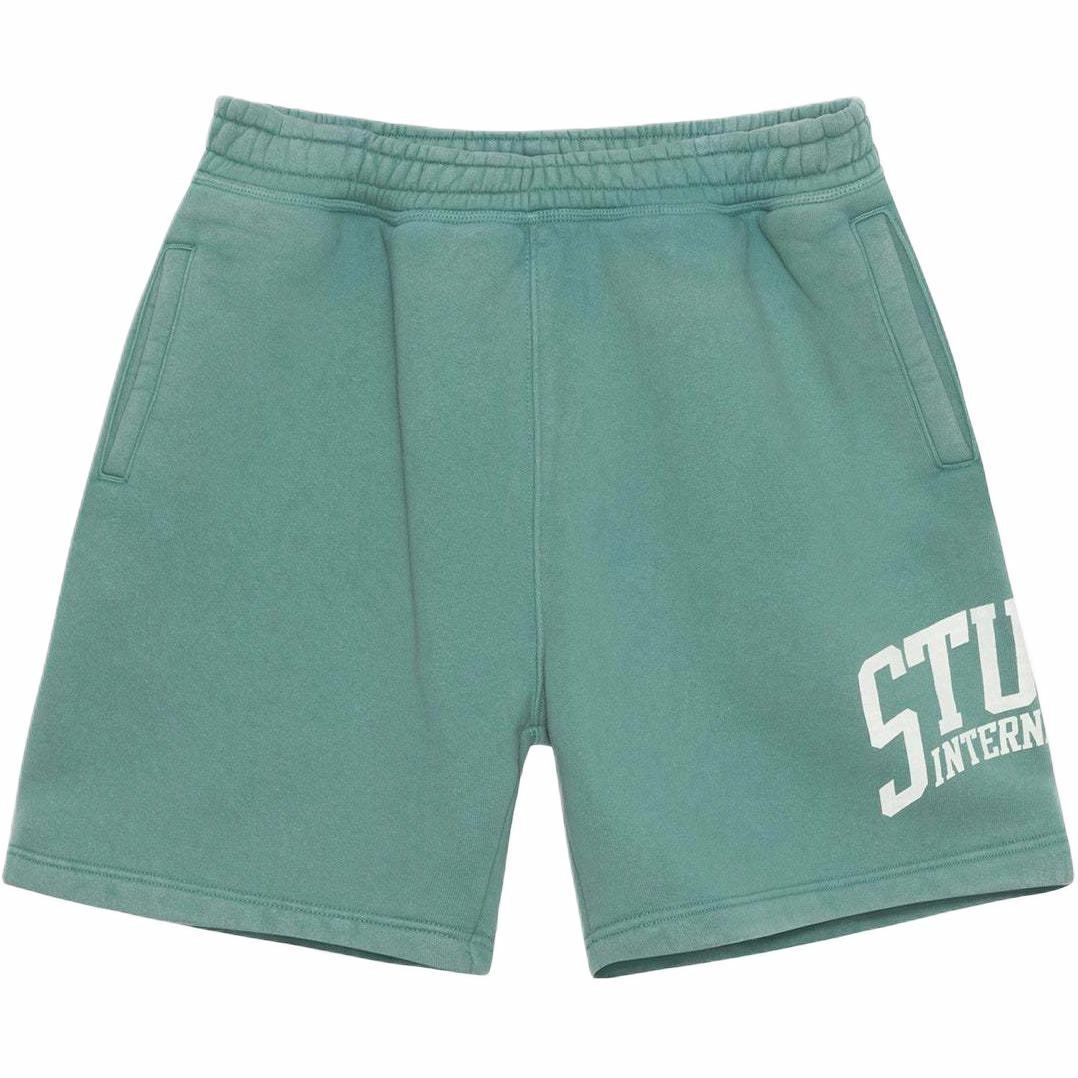 Шорты Stussy FLEECE SHORT INTERNATIONAL (серые)