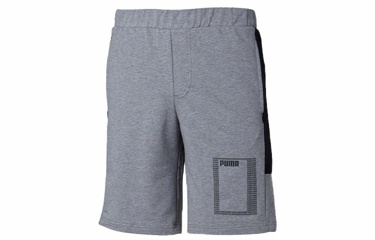 Мужские шорты PUMA Колорблок (серые)