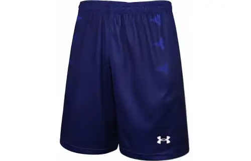 Under Armour Shorts Unisex Royal Blue