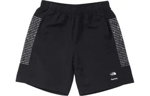 Supreme x The North Face Bermuda shorts