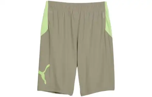 PUMA Casual Shorts Men's Green Moderate