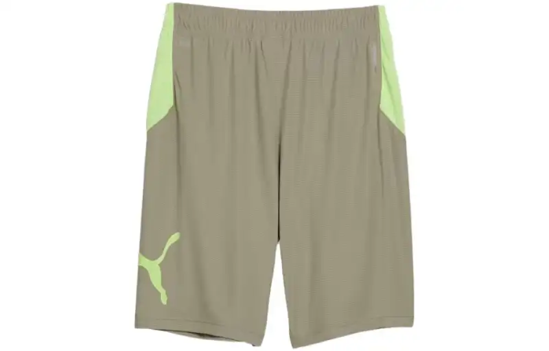 PUMA Casual Shorts Men's Green Moderate