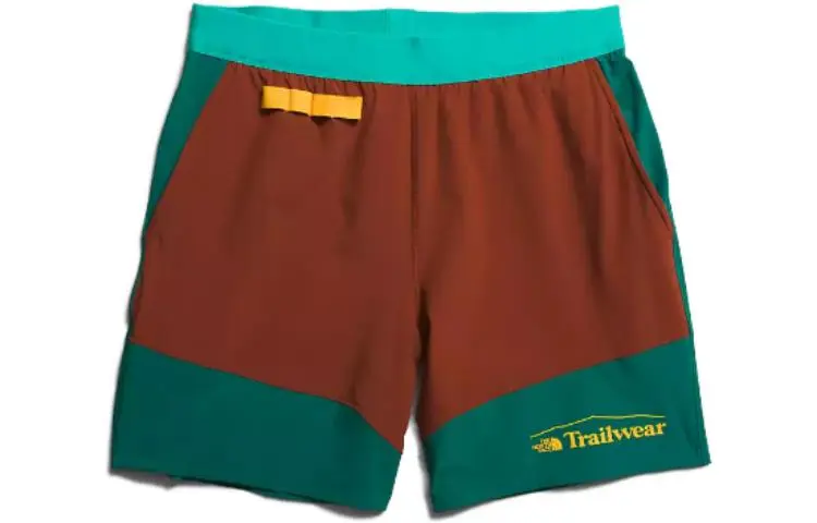 THE NORTH FACE Casual Shorts Men's Multicolor Moderate Straight Fit Pants