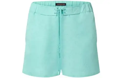 LOUIS VUITTON Casual Shorts Men's Light Green Moderate