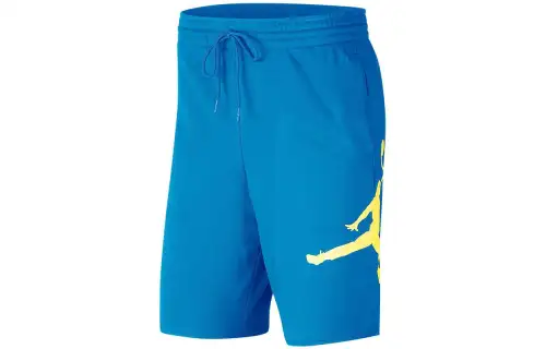 Jordan Casual Shorts Men's Blue Moderate