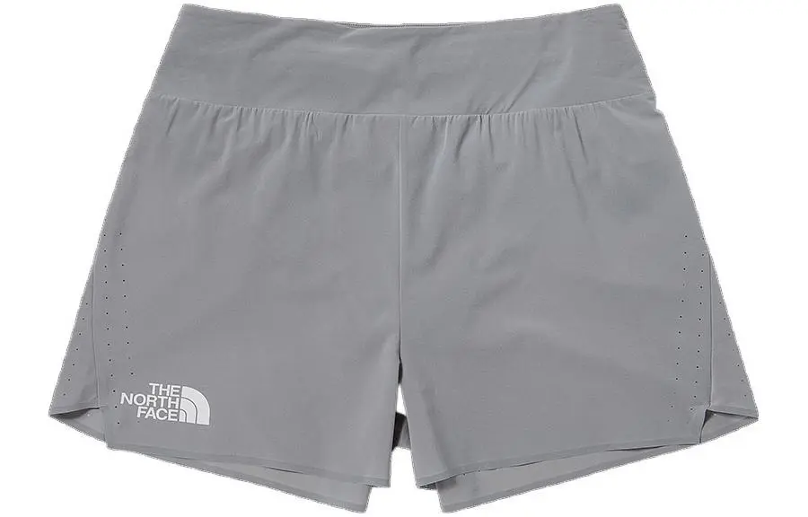 THE NORTH FACE Shorts Men's Gray