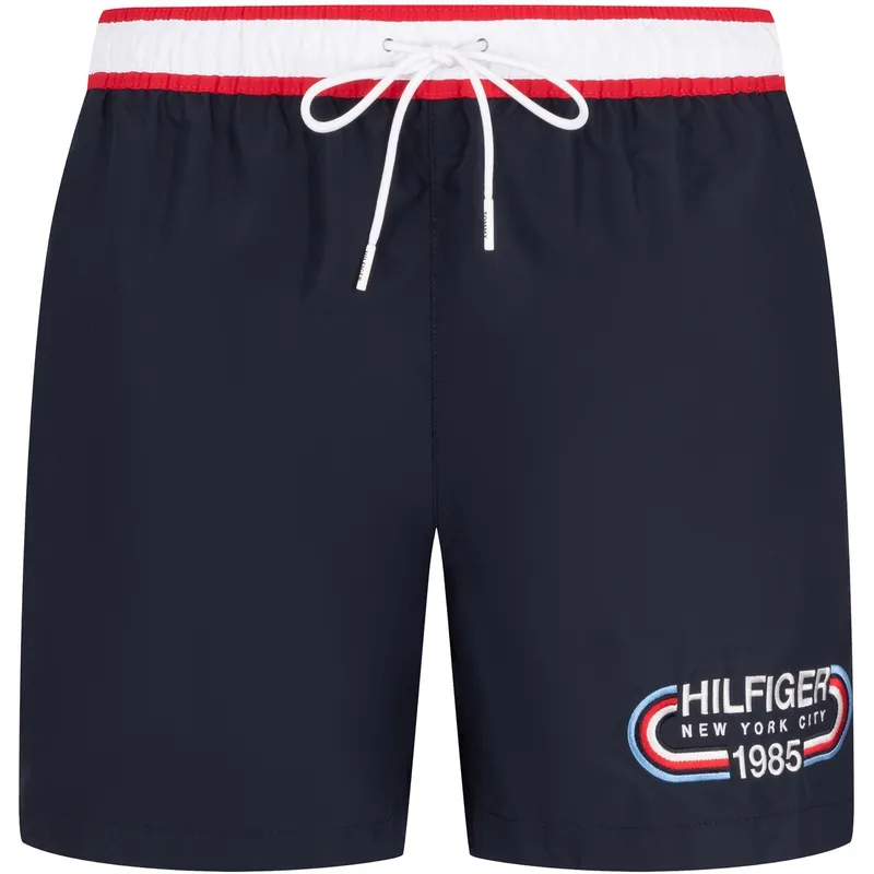 Tommy Hilfiger Casual Shorts Men's Navy Blue