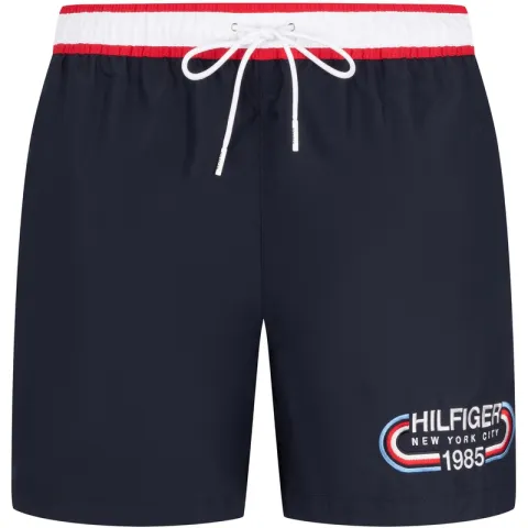 Tommy Hilfiger Casual Shorts Men's Navy Blue