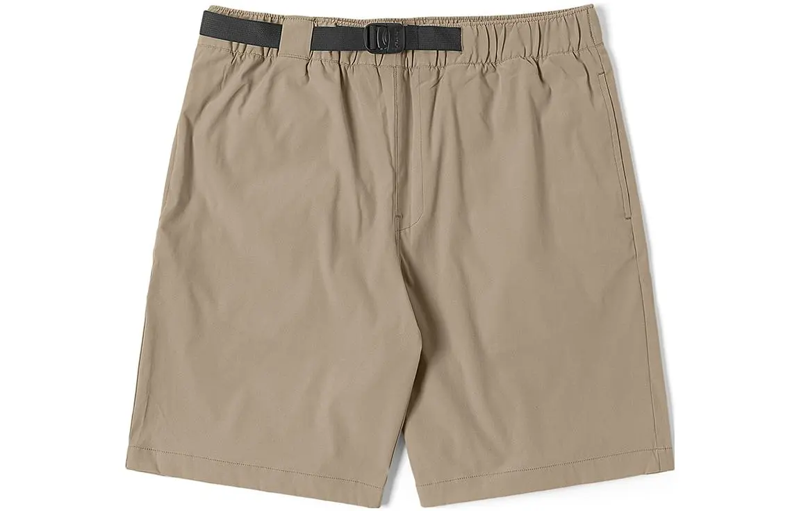 Dickies Casual Shorts Men's Sand Moderate