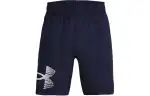 Under Armour Casual Shorts Men's Navy Blue