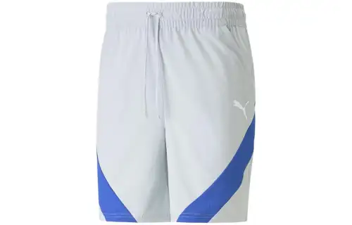 PUMA Casual Shorts Men's Platinum Gray