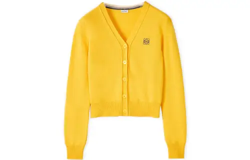 LOEWE Crop Tops Women's Yellow V Neck Moderate