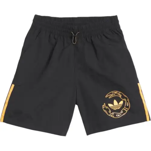 Adidas Originals SKATEBOARDING GRAPHIC WATER SHORTS Casual Shorts Unisex Black