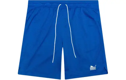 PUMA X Tmc Every Day Hussle Mesh Shorts