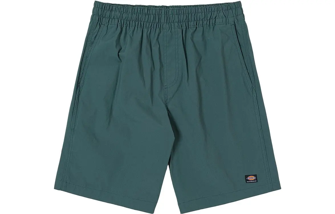 Dickies Casual Shorts Men's Teal