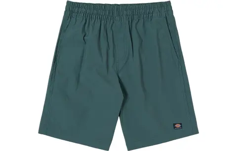 Dickies Casual Shorts Men's Teal
