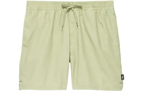 Vans Primary Solid 17'' Elastic Boardshorts Casual Shorts Men's Green
